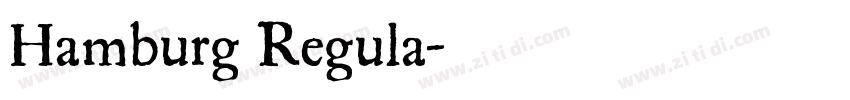 Hamburg Regula字体转换